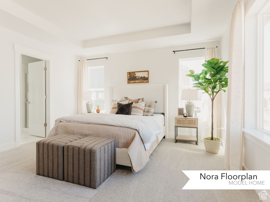 Bedroom with carpet floors, a raised ceiling, and baseboards