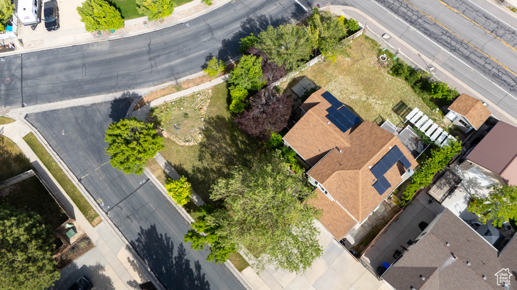 Bird\'s eye view