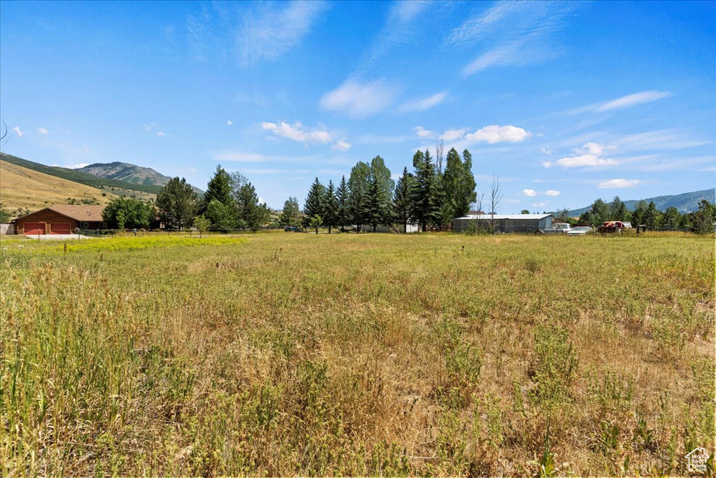 View of yard with a mountain view and a view of rural / pastoral area