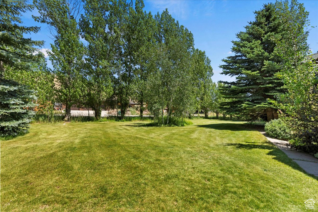 View of green lawn