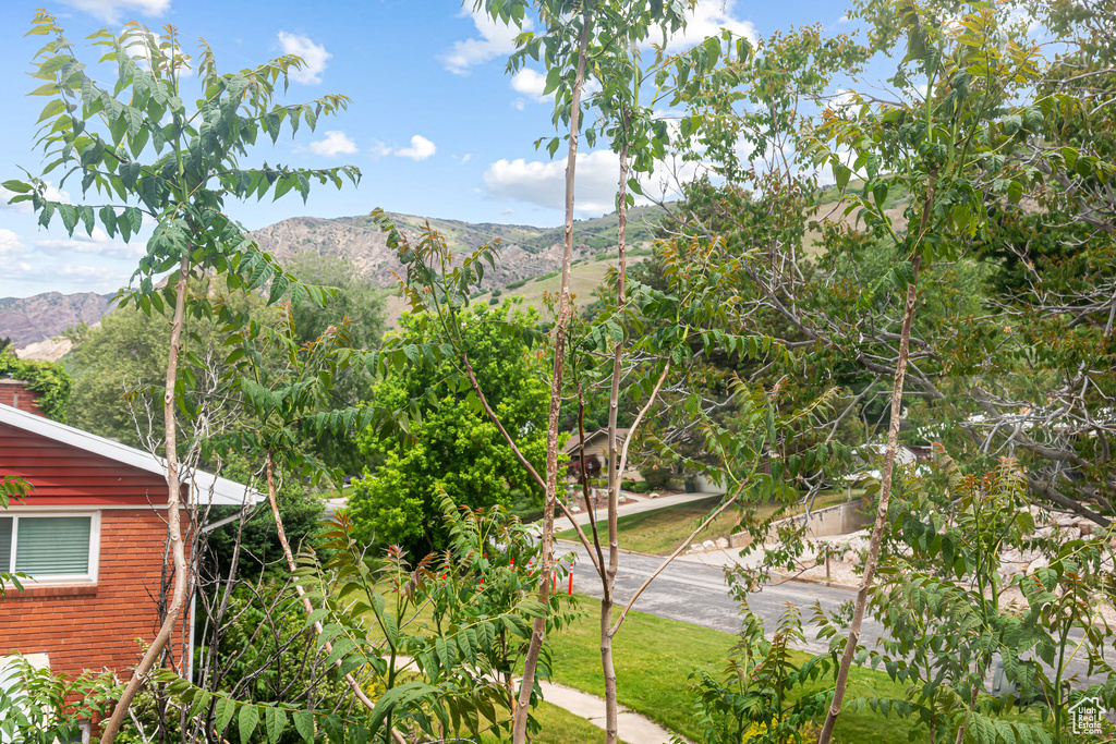 View of mountain backdrop