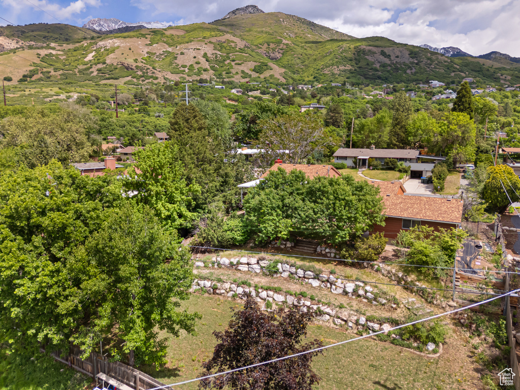 View of mountain background