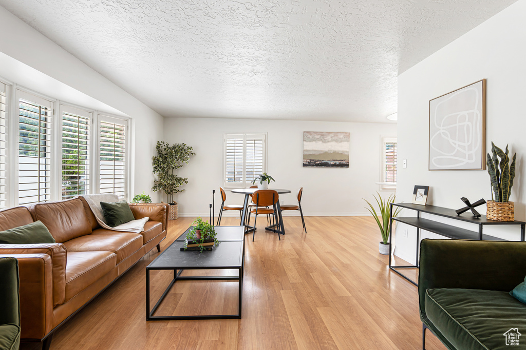Living room featuring light wood-type flooring, a textured ceiling, and baseboards