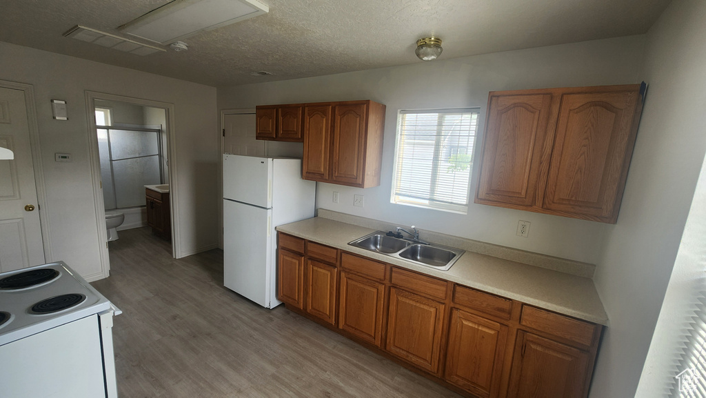 Kitchen with white appliances, a sink, light wood-type flooring, brown cabinetry, and light countertops