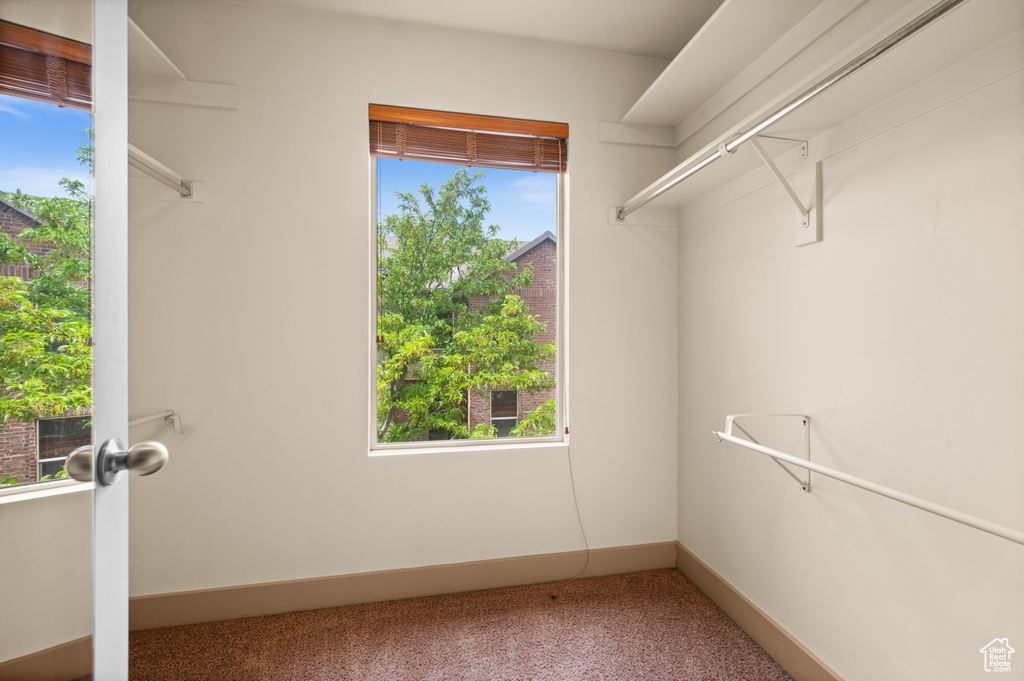 Walk in closet with carpet