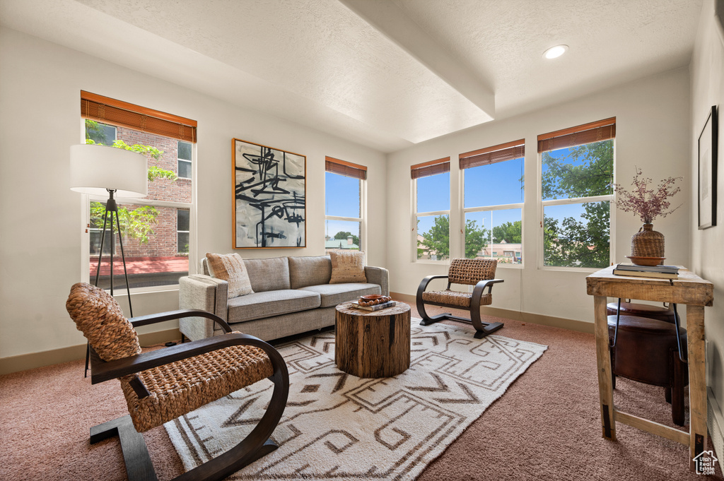 Living room with light colored carpet, plenty of natural light, baseboards, a textured ceiling, and recessed lighting
