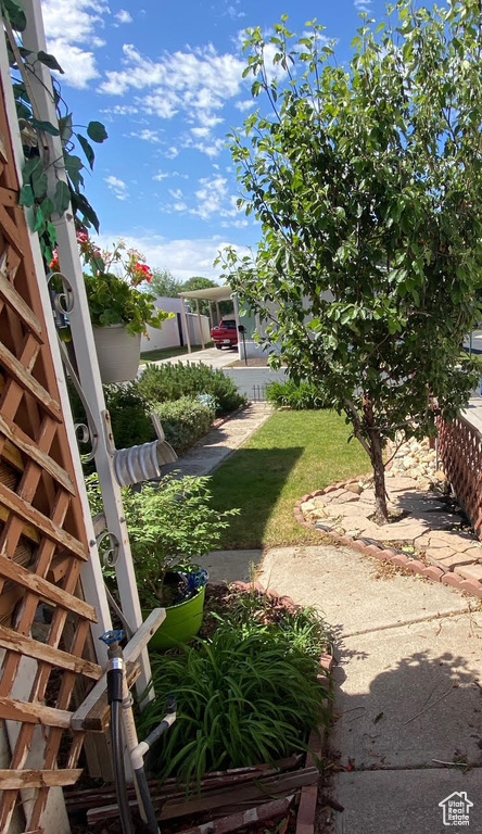 View of yard