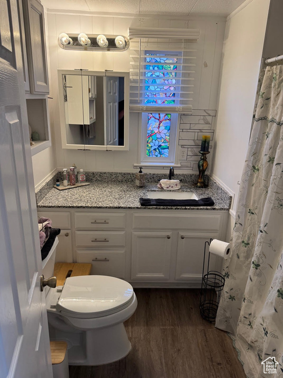 Bathroom with wood finished floors, vanity, and toilet