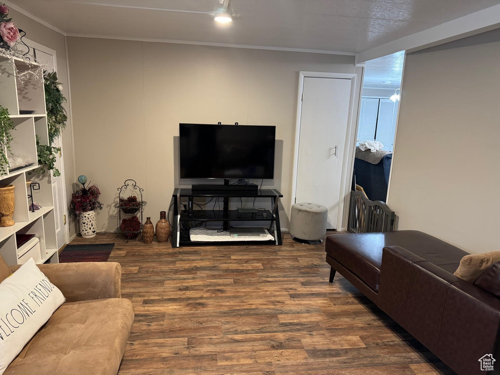 Living area with dark wood-style floors and ornamental molding