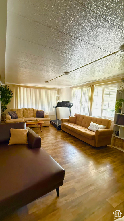 Living area featuring wood finished floors