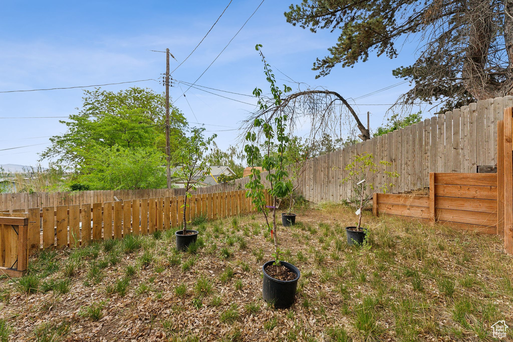 View of fenced backyard