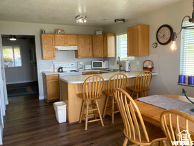 Kitchen featuring white microwave, light countertops, dark wood-style floors, and under cabinet range hood