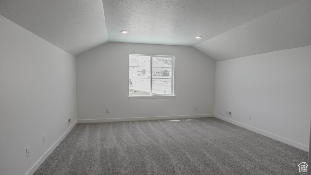 Additional living space featuring lofted ceiling, a textured ceiling, and carpet