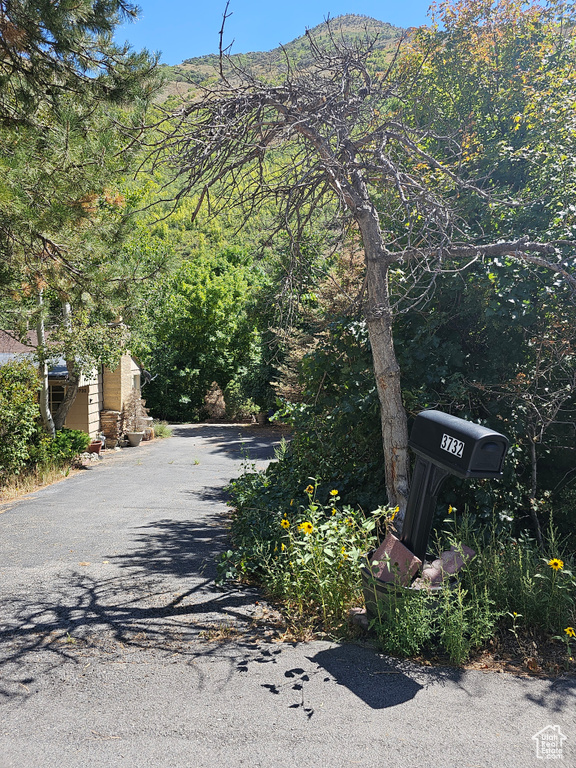 View of asphalt driveway