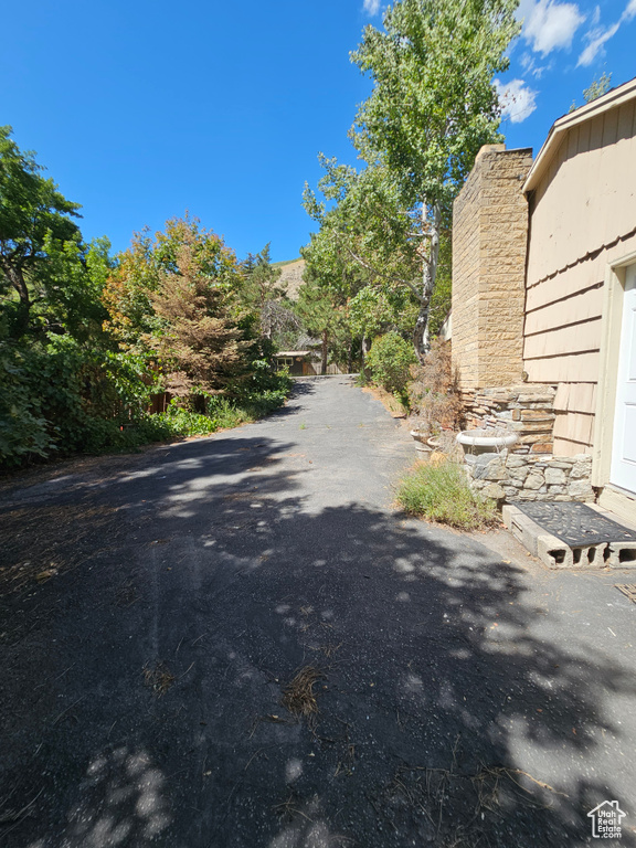 View of asphalt driveway