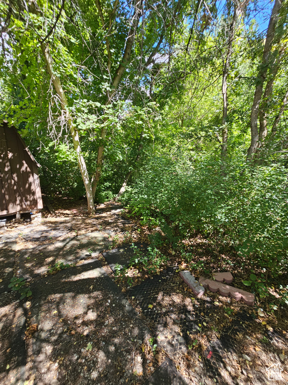 View of yard with an outdoor structure