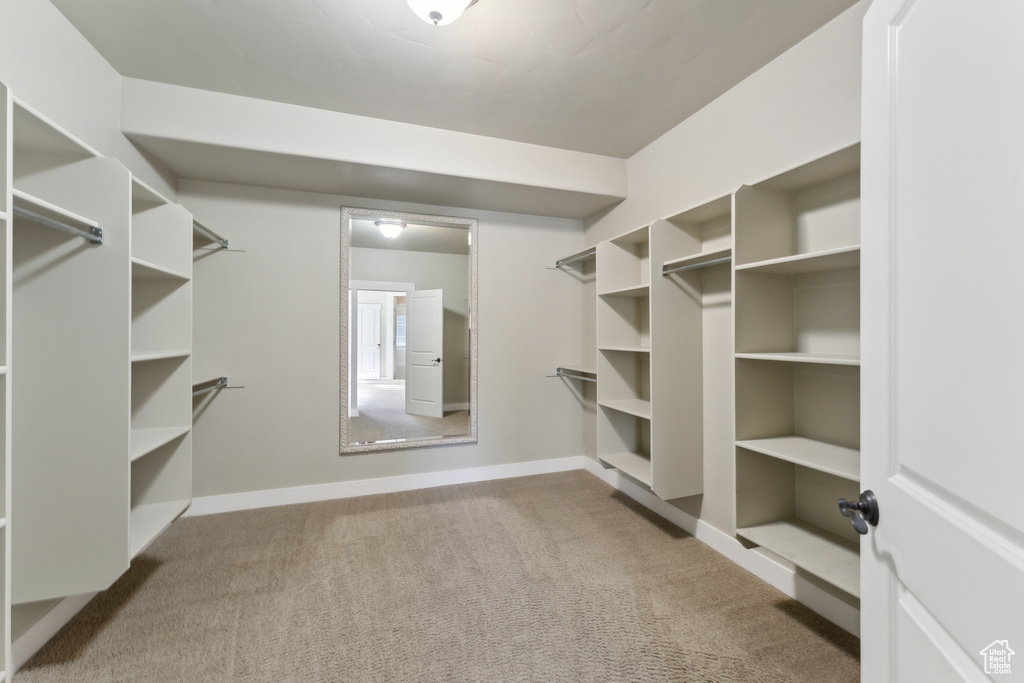 Walk in closet with carpet floors