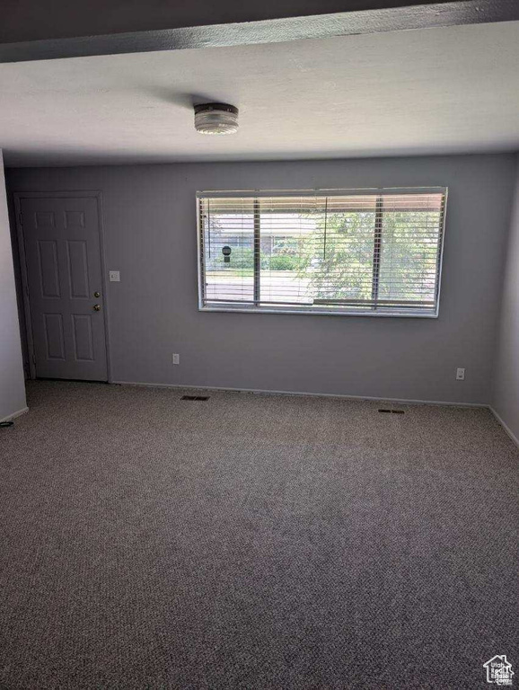 Empty room featuring plenty of natural light, carpet floors, and baseboards