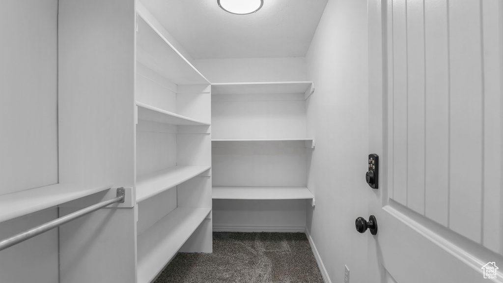 Walk in closet featuring dark carpet