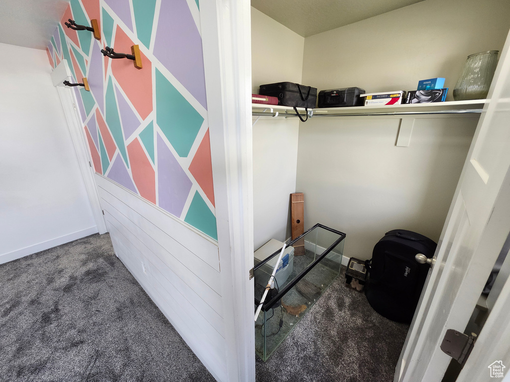 Spacious closet with carpet floors