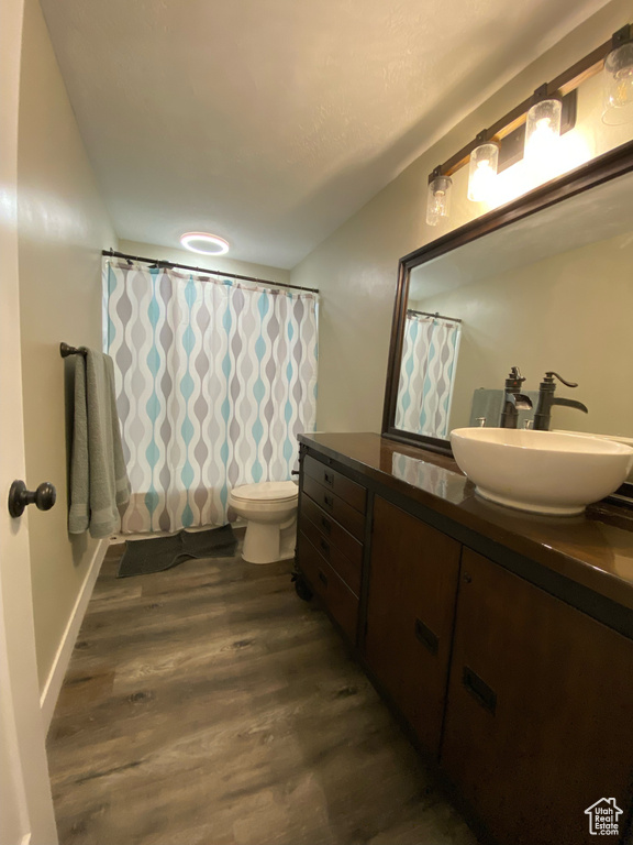 Bathroom featuring wood finished floors, vanity, toilet, and a shower with shower curtain