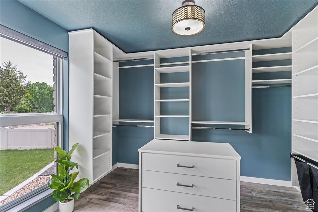 Spacious closet featuring dark wood-style floors
