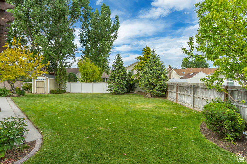 View of yard featuring a shed, an outdoor structure, and a residential view