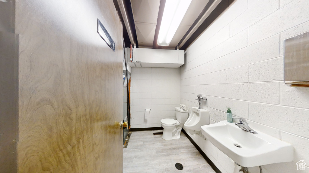 Bathroom with wood finished floors, a sink, and toilet