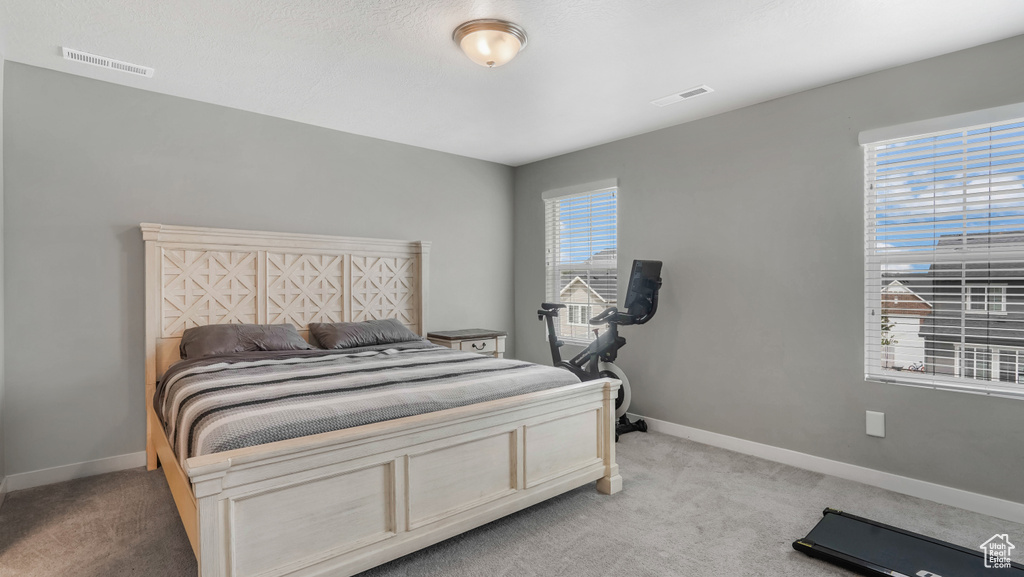Bedroom with light carpet and baseboards