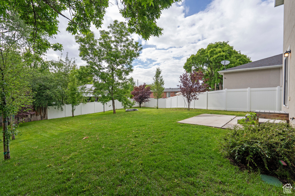 View of yard featuring a patio