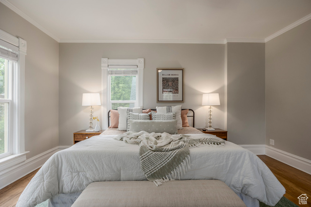 Bedroom with crown molding, multiple windows, wood finished floors, and baseboards