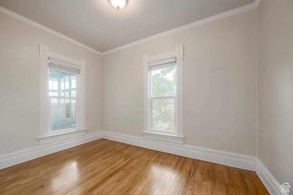 Empty room featuring healthy amount of natural light, light wood finished floors, ornamental molding, and baseboards