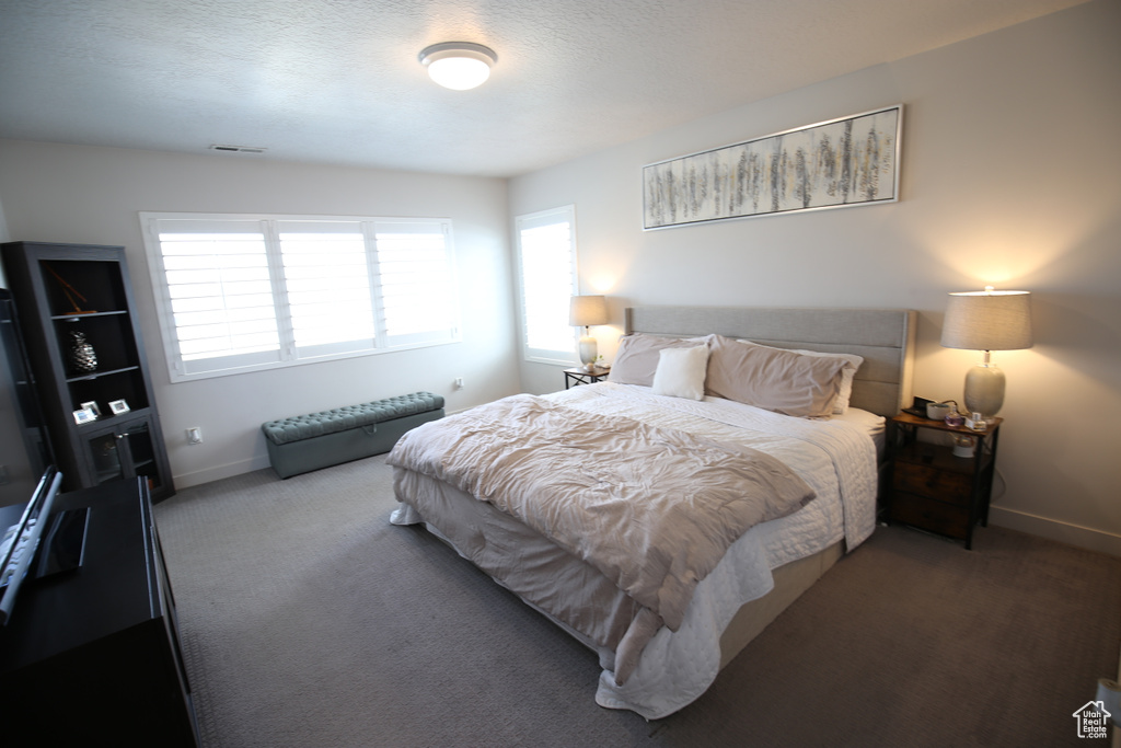 Bedroom featuring multiple windows, carpet floors, and baseboards