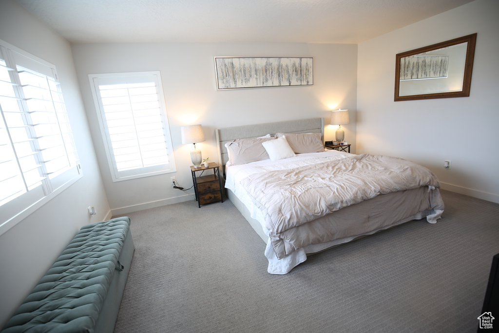 Bedroom featuring radiator heating unit, carpet, multiple windows, and baseboards