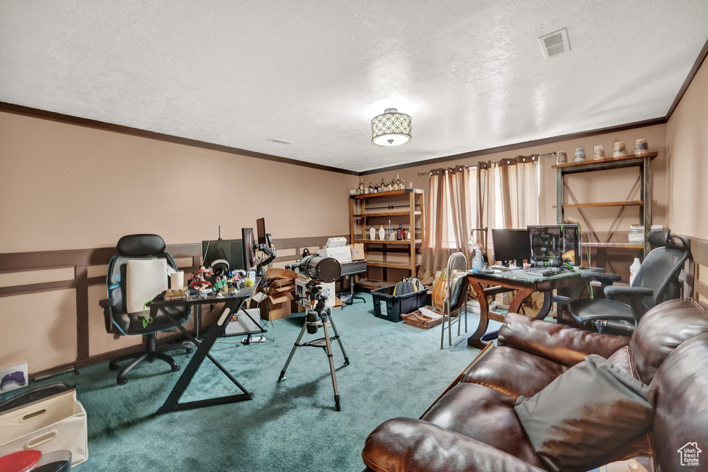 Carpeted office space with ornamental molding and a textured ceiling