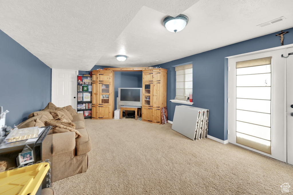Living area with a textured ceiling, carpet, and baseboards