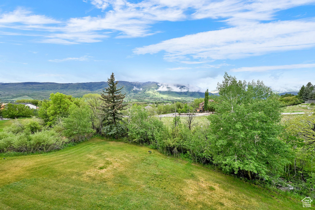 View of green lawn with a mountain view