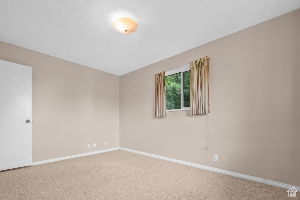 Unfurnished room featuring baseboards and carpet flooring