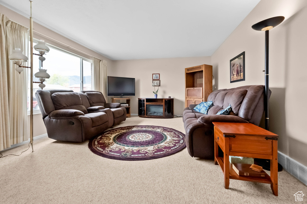 Living area with carpet floors