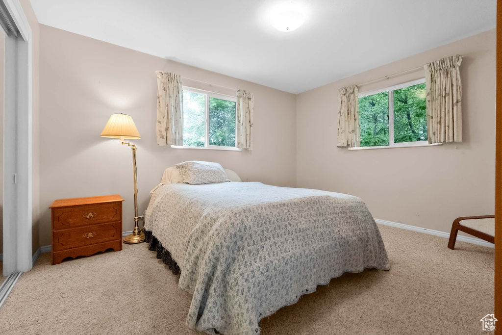 Carpeted bedroom featuring baseboards and a closet