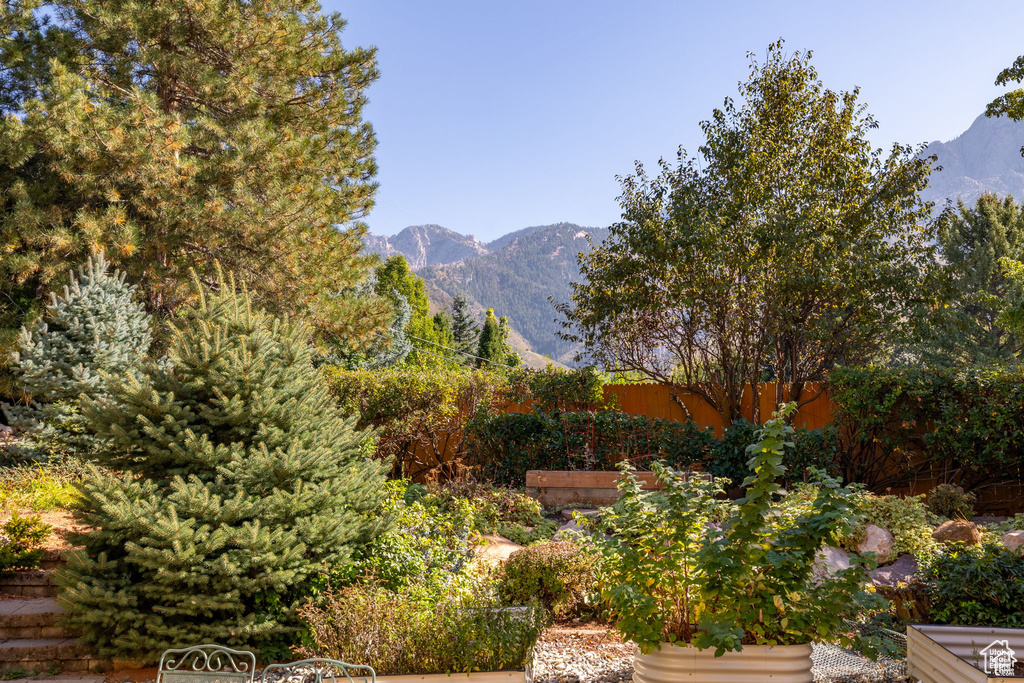 View of mountain backdrop