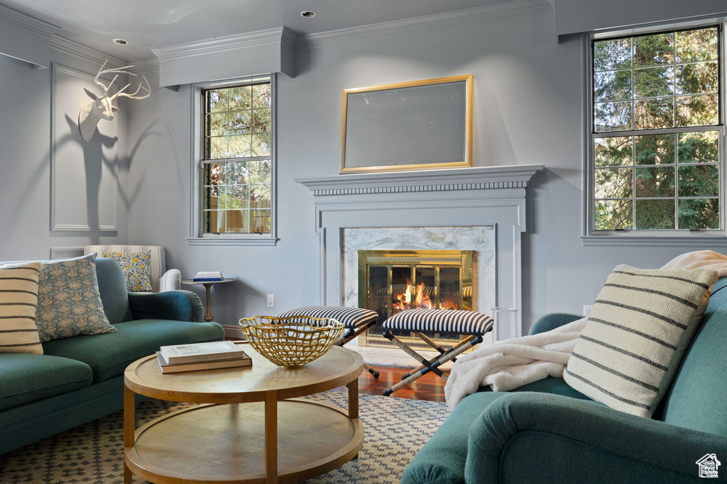 Living room featuring crown molding, a high end fireplace, and wood finished floors
