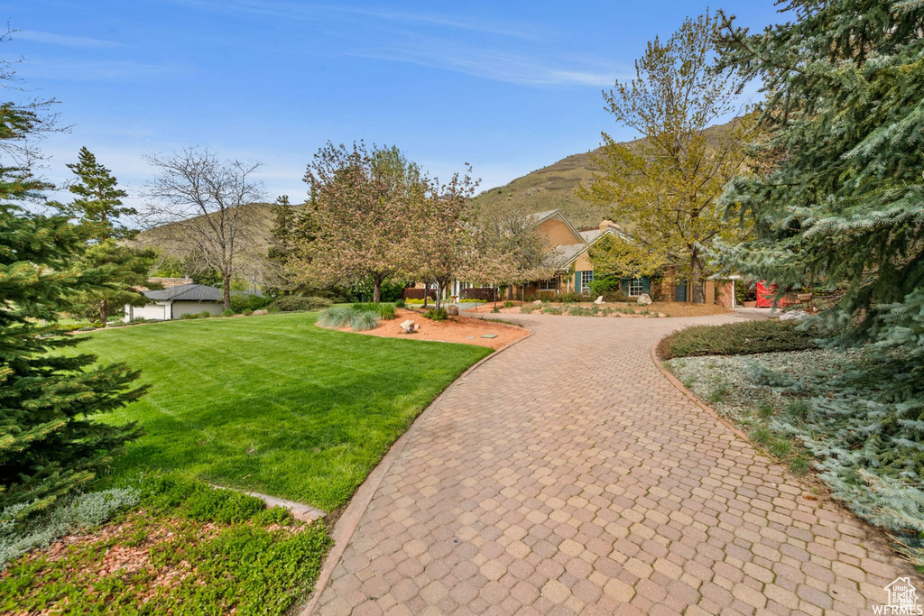 Surrounding community with a mountain view, curved driveway, and a yard