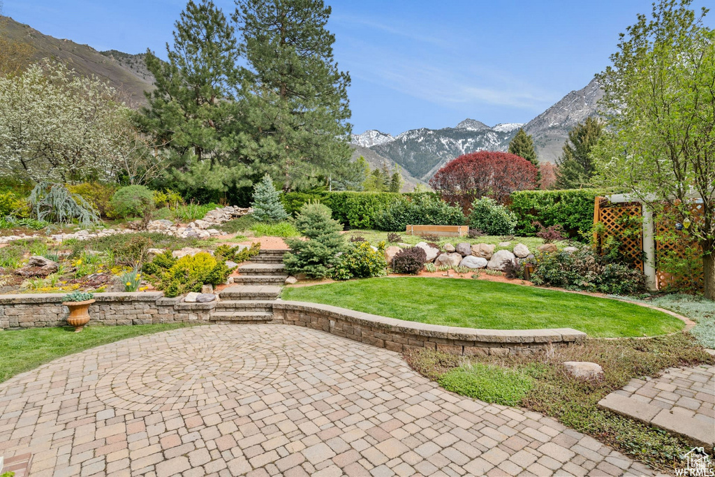 View of green lawn with a mountain view and a patio