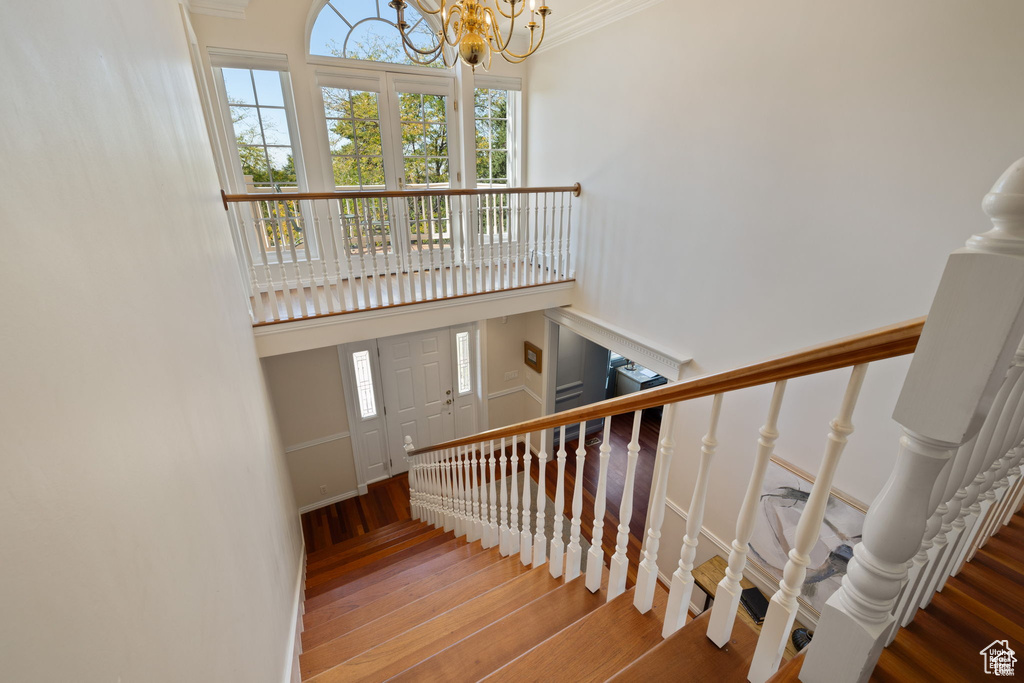 Stairway featuring hardwood / wood-style floors, a chandelier, plenty of natural light, a high ceiling, and crown molding