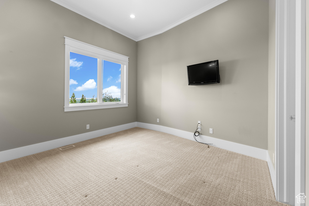 Spare room featuring crown molding, carpet, and baseboards