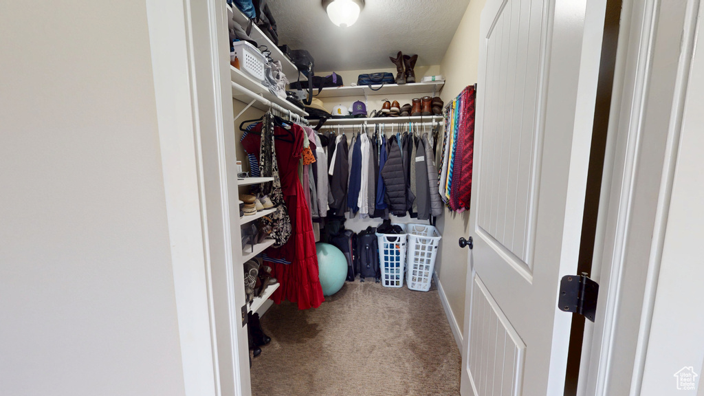 Spacious closet with carpet flooring