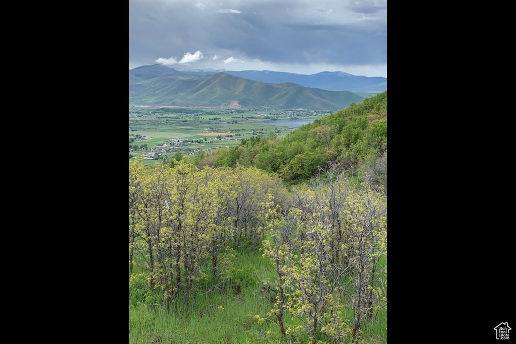 Mountain view featuring a forest view