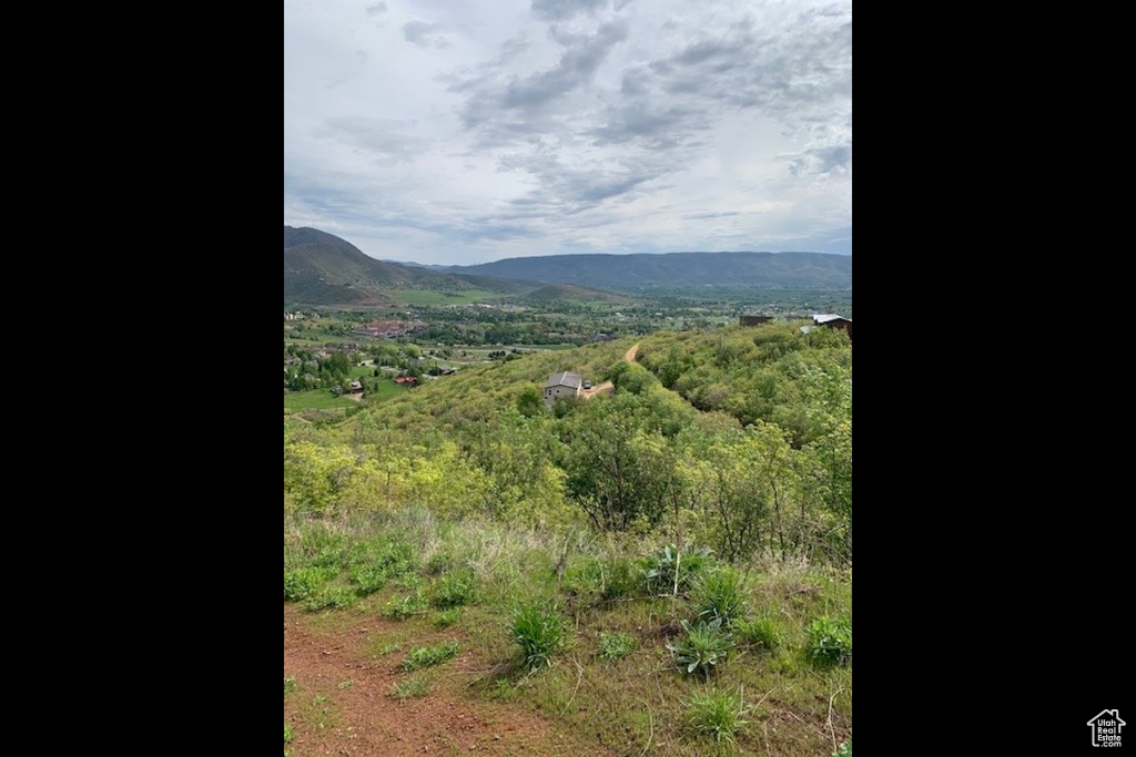 Mountain view