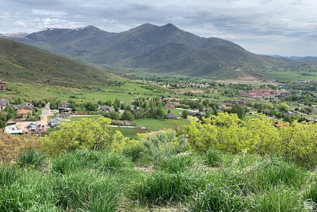 Property view of mountains